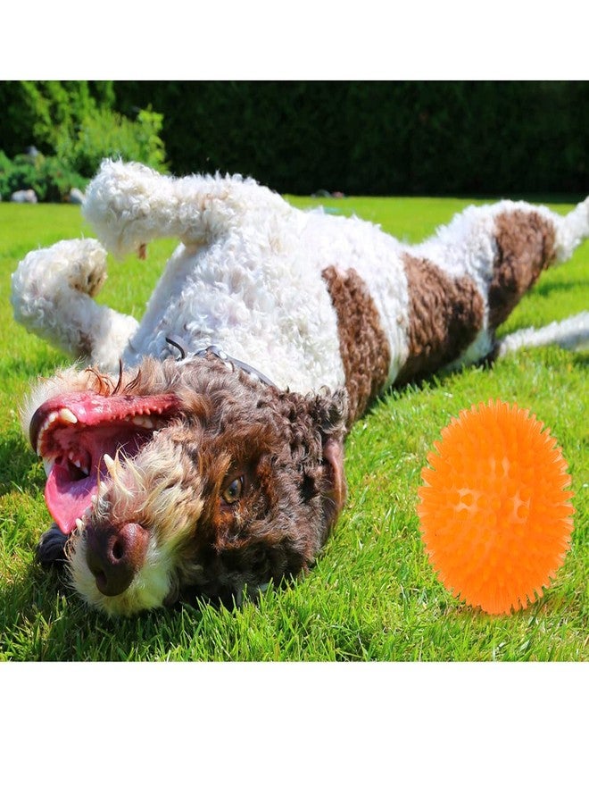 BASIL Spiked Squeaky Chew Ball for Dogs & Puppies (Pink + Orange), Pack of 2 - Image 4