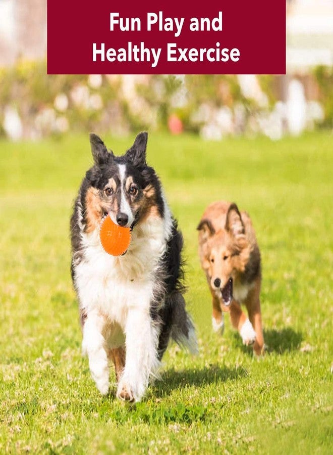 BASIL Spiked Squeaky Chew Ball for Dogs & Puppies (Pink + Orange), Pack of 2 - Image 5