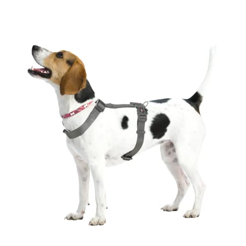 Trixie Premium H-Harness Belt for Dogs, Stylish Design, Adjustable Webbing Tape, Strain Relief, Lightweight & Adjustable Straps (S-M, Graphite) - Image 2