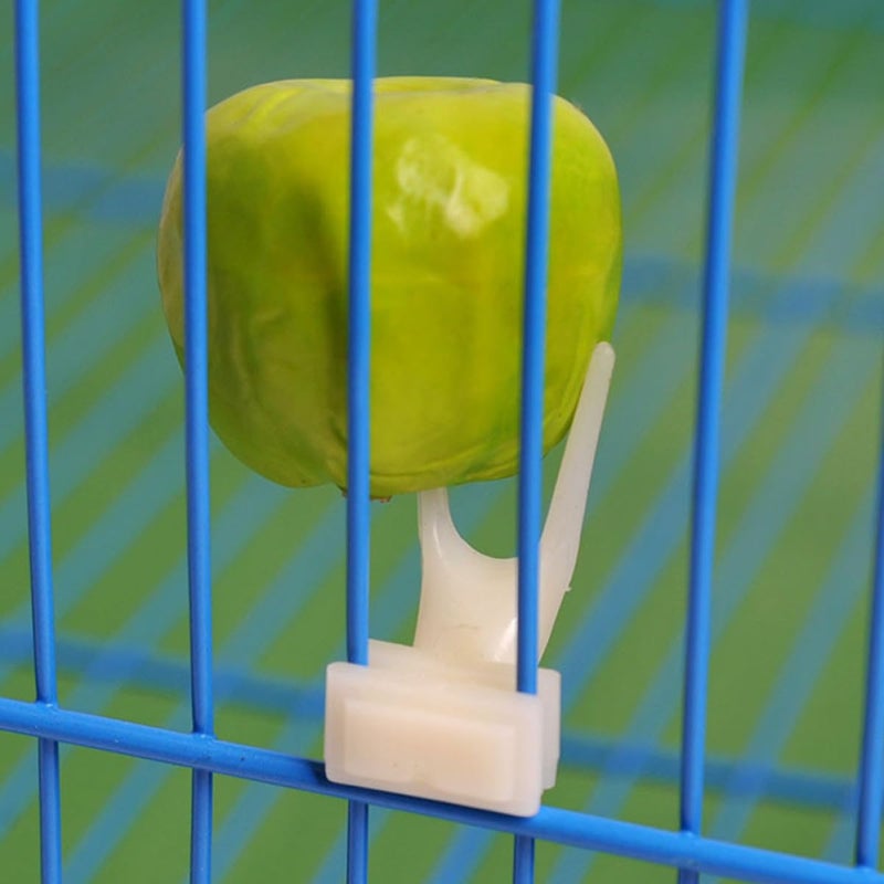 20Pcs Plastic Fruit Forks Bird Feeder Accessories for Cage Parrot Feeding Supplies - Image 5