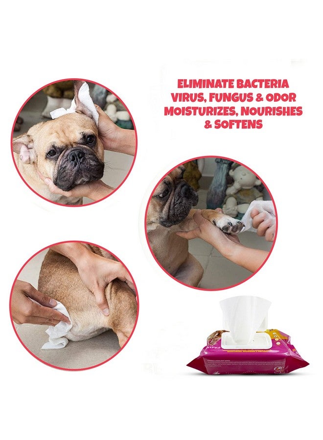 بتس إمباير مناديل مبللة للحيوانات الأليفة للكلاب والجراء والحيوانات الأليفة لتنظيف مخالبها والعناية اليومية بها ناعمة على بشرة الحيوانات الأليفة (15 × 20 سم) 80 قطعة (1، (عبوة من قطعة واحدة)) - Image 4