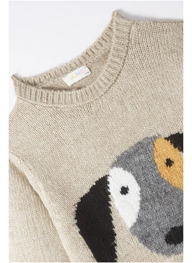 جون June Boy Dog Patterned Sweater Anthracite