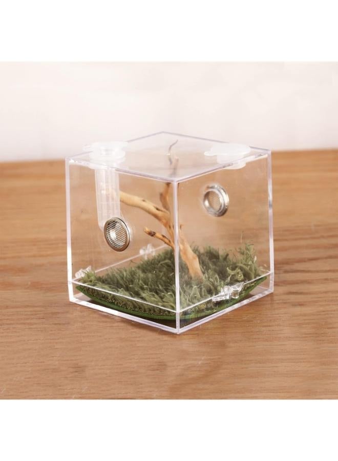 صندوق تربية الحشرات الصغير للحيوانات الأليفة من Spider Micro Big Habitat بزاوية 360 درجة شفاف - Image 1