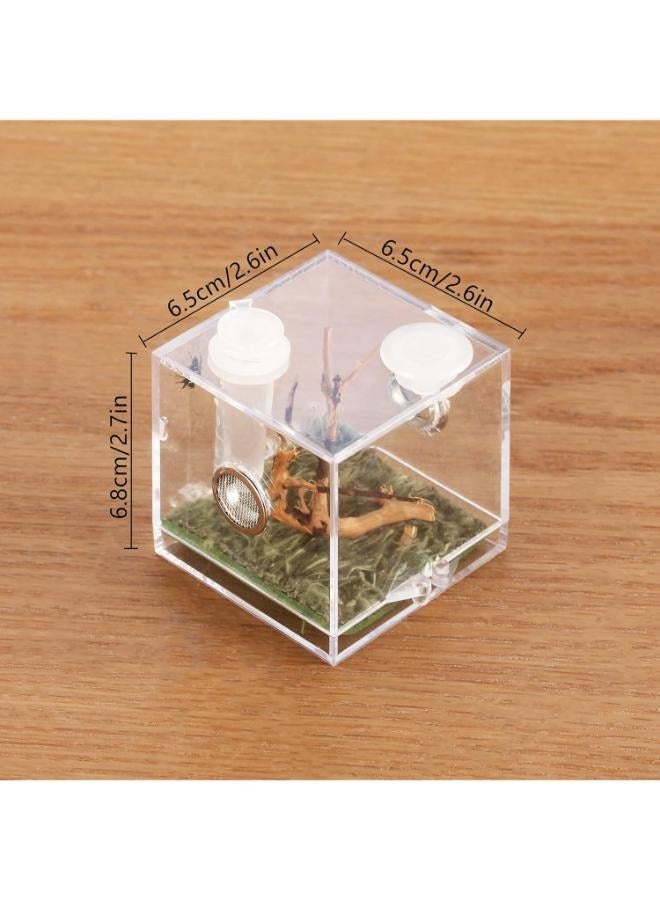 صندوق تربية الحشرات الصغير للحيوانات الأليفة من Spider Micro Big Habitat بزاوية 360 درجة شفاف - Image 2