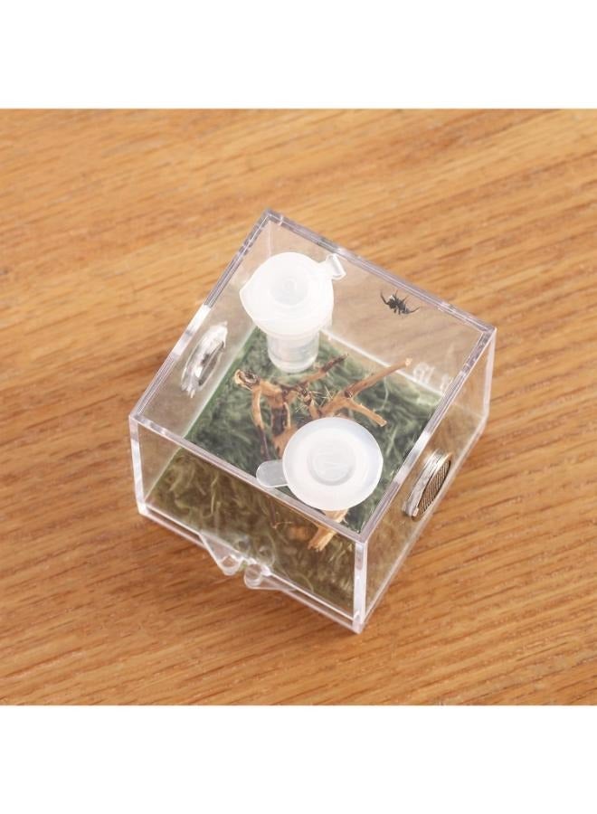 صندوق تربية الحشرات الصغير للحيوانات الأليفة من Spider Micro Big Habitat بزاوية 360 درجة شفاف - Image 3