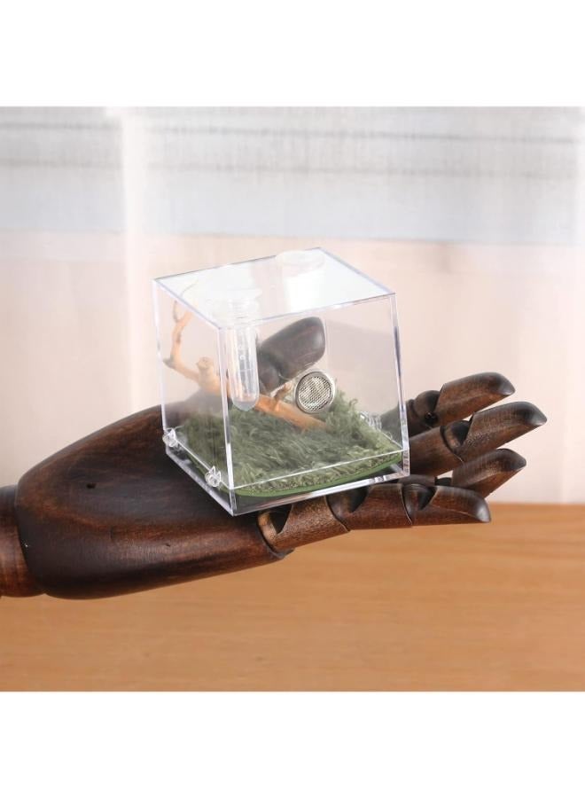 صندوق تربية الحشرات الصغير للحيوانات الأليفة من Spider Micro Big Habitat بزاوية 360 درجة شفاف - Image 5