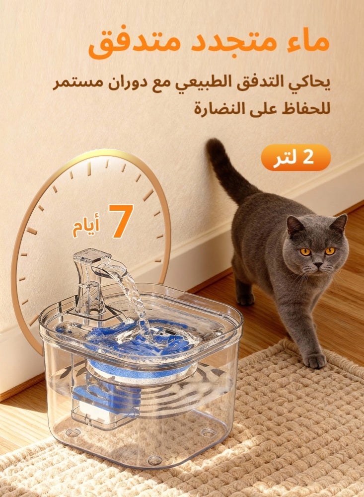 LAPET Pet Water Fountain 2L - Ultra-Quiet Pump, Continuous Flow with Activated Carbon Filter, Automatic Drinking Bowl for Cats and Small Dogs - Image 2