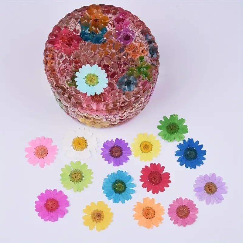 Artool Pressed Flower for Resin Art, Decoration, Art & Craft DIY Resin Art Jewelry, Pack of 1 -Diasy Flower Set of 12 - Image 3