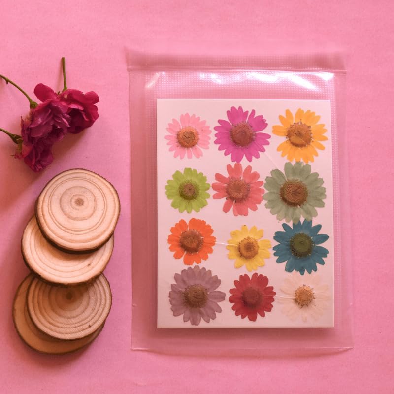 Artool Pressed Flower for Resin Art, Decoration, Art & Craft DIY Resin Art Jewelry, Pack of 1 -Diasy Flower Set of 12 - Image 2