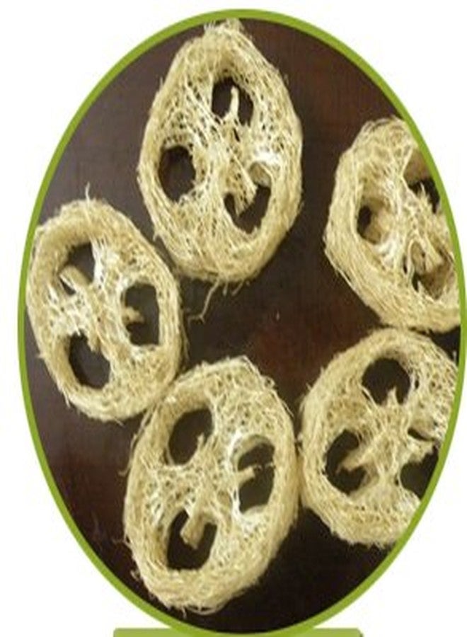 Soapy Twist Loofah - Image 2