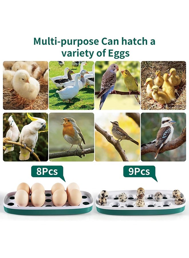 Egg Incubator, 8 Eggs Poultry Hatcher with Humidity Temperature Control, Led Candler and Display, Mini Chicken Incubator for Hatching Chicks, Quail Duck Goose Bird Turkey Eggs  - Image 5