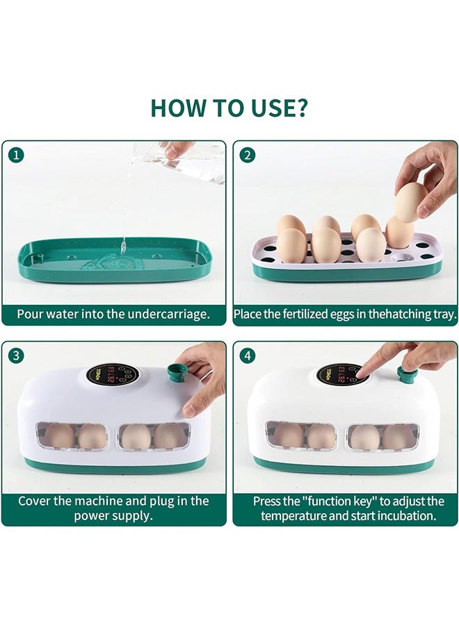 Egg Incubator, 8 Eggs Poultry Hatcher with Humidity Temperature Control, Led Candler and Display, Mini Chicken Incubator for Hatching Chicks, Quail Duck Goose Bird Turkey Eggs  - Image 3