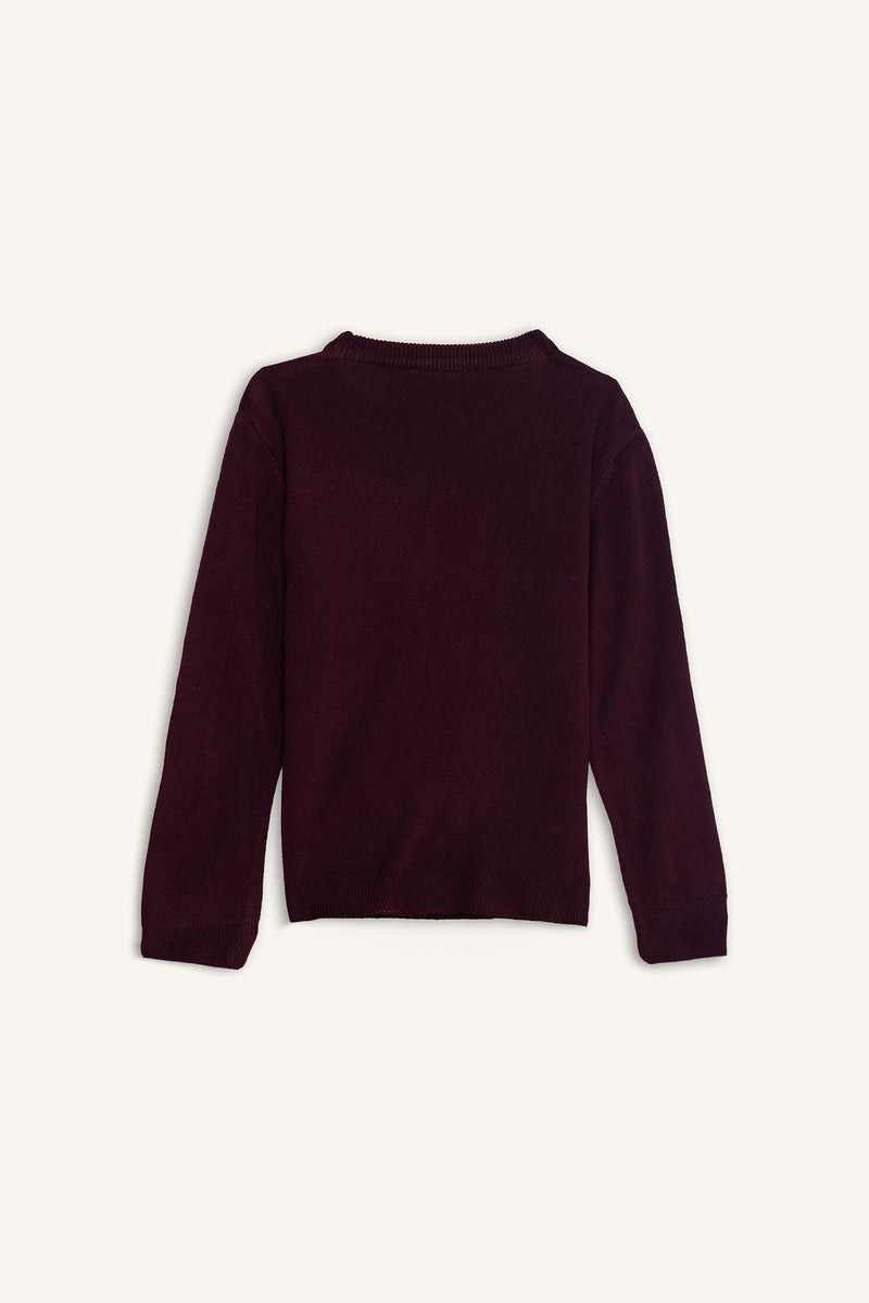 ديفاكتو بلوفر اولادي تريكو قصة عادية برقبة مستديرة - Image 3