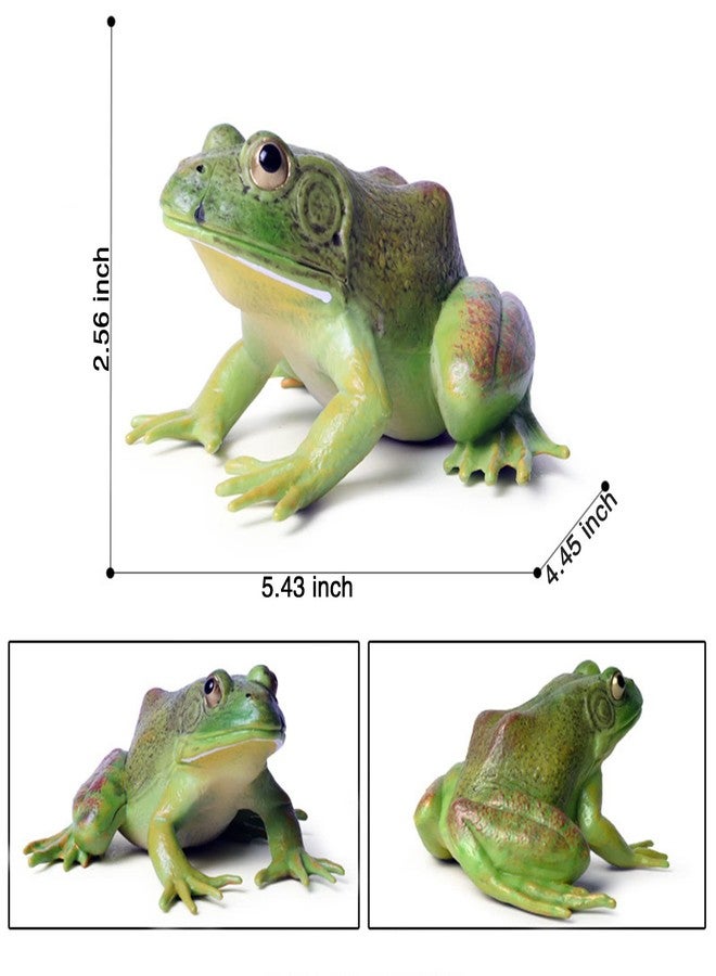 SCAHOW Plastic Frog Toys for Kids, Rainforest Animals Figures, Rubber Bullfrog Figurine, Forest Woodland Animals Toys, Frog Decor Party Favor Garden Flowerpot Decoration (Green) - Image 2