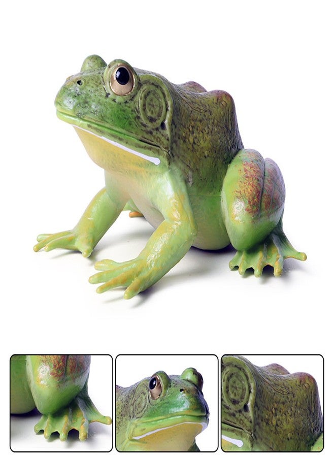 SCAHOW Plastic Frog Toys for Kids, Rainforest Animals Figures, Rubber Bullfrog Figurine, Forest Woodland Animals Toys, Frog Decor Party Favor Garden Flowerpot Decoration (Green) - Image 3