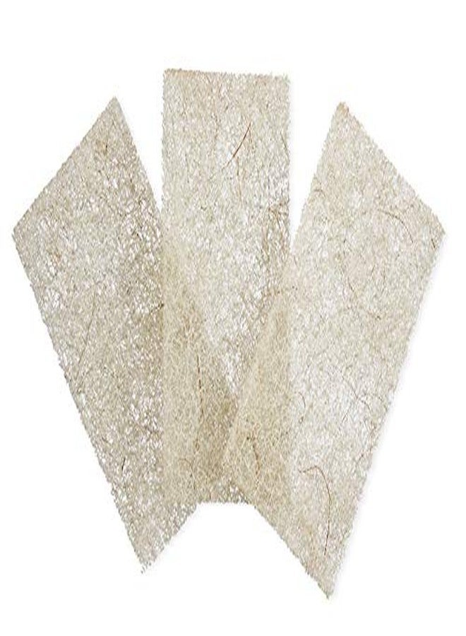 FULL CIRCLE CLEANING PRODUCTS Beachy Clean Heavy Duty Coconut Scour Pads 3pk, 3 CT - Image 2