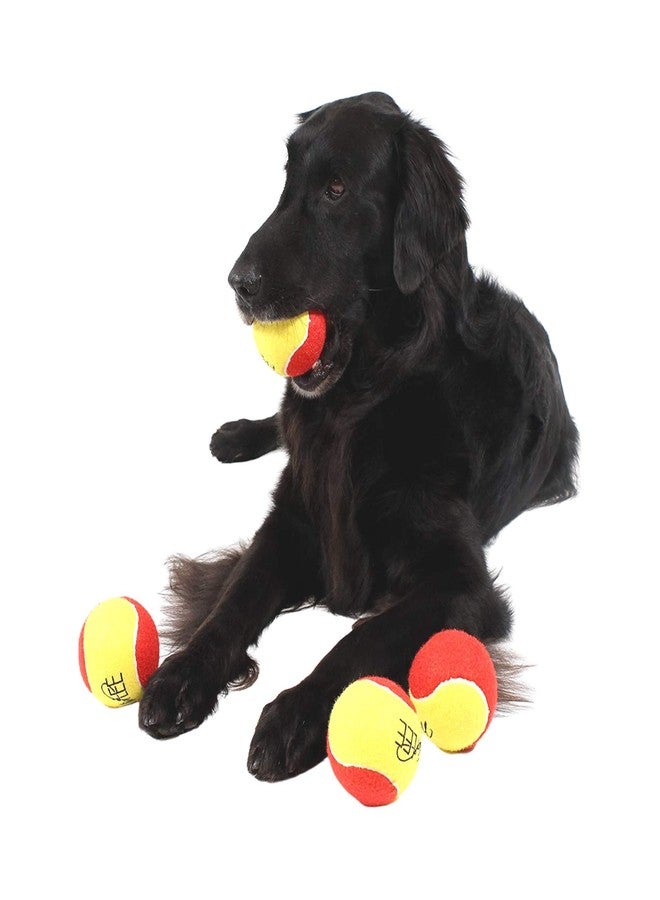 Midlee 3 Inch Large Tennis Balls for Dogs, Pack of 4 Durable Toy Balls - Image 3