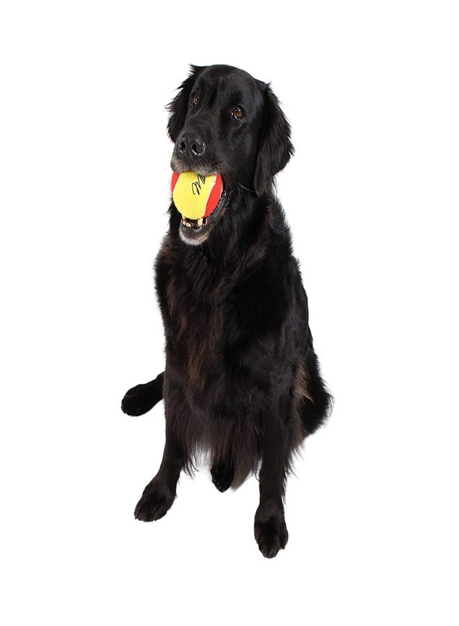 Midlee 3 Inch Large Tennis Balls for Dogs, Pack of 4 Durable Toy Balls - Image 4