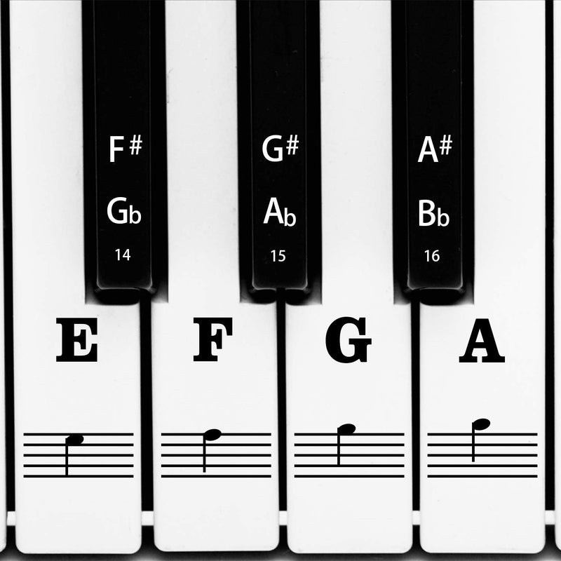AIEX AIEX Piano Keyboard Music Note Full Set Stickers Removable  Transparent for White  Black 88615449 Keys 