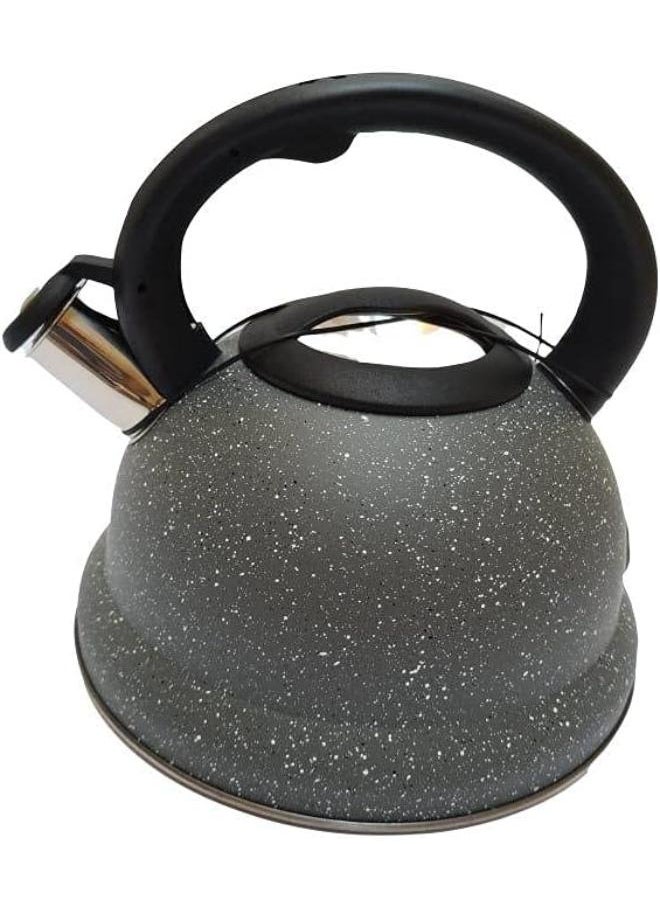 Generic - 3L Granite Stainless Steel Whistle Teapot - Grey - Image 1