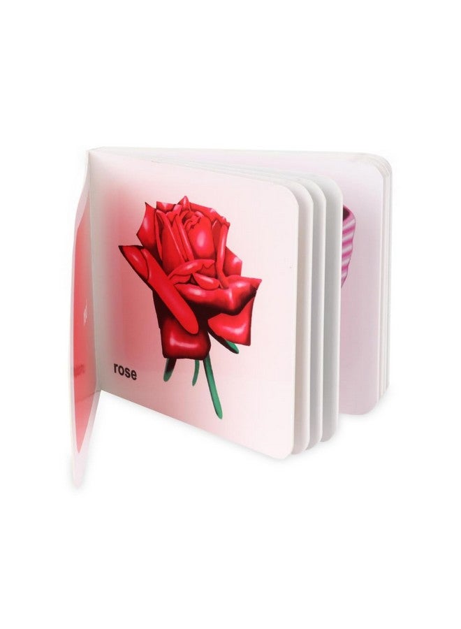 Creative's Pre-School Learning Pack-1 | Preschool Series | Learning Kit | Early Learning Pack |Board Books & Cards Education Pack for 3 to 5 Year's Kids | - Image 2