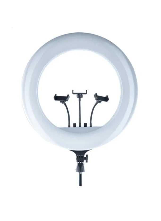 RL21 Inch Ring Light Tripod LED Soft Ring Light with Remote Control - Image 3