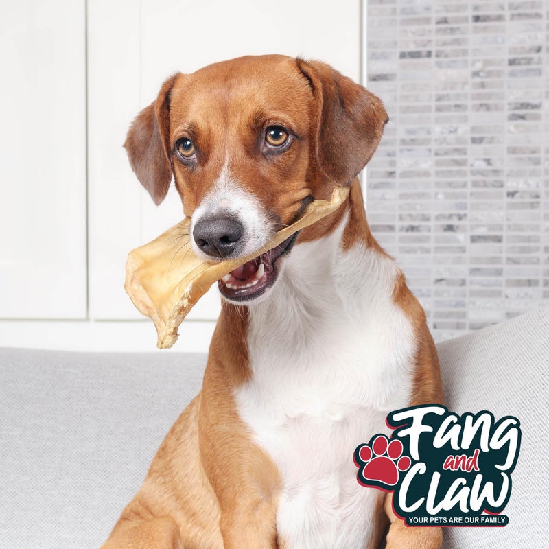 Fang and Claw Fang & Claw Water Buffalo Ears for Dogs (50 Pack) - Free Range Grass Fed Low Calorie All Natural Dog Chews - Healthy Dental Chew Bone Alternative - No Rawhide Dog Chews - Long Lasting Natural Treats - Image 3