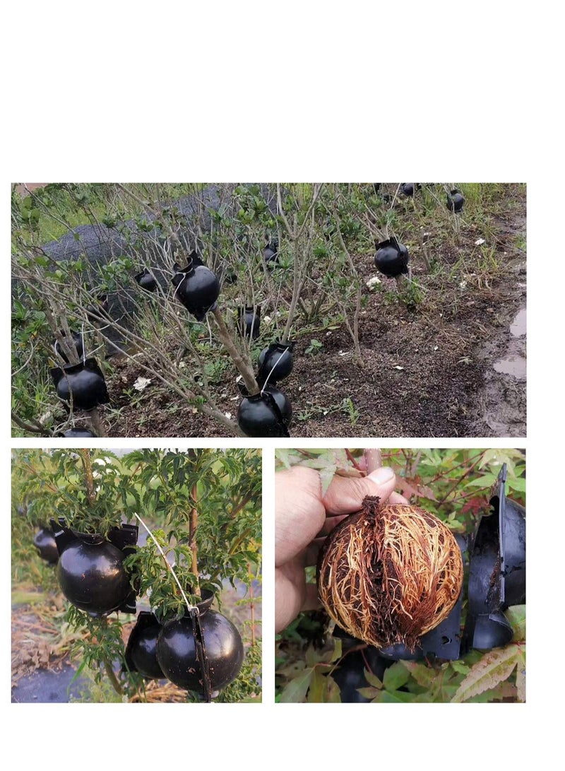 Zikra Plant Root Growing Box Grafting Device 6Pcs, High Pressure Propagation Ball Box, Assisted Cutting Plants Rooting Growing Breeding for Reproduction Equipment (M) - Image 5