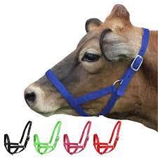 BLESSING PET SUPPLY Cow Horse Nylon Hulter CowBuffaloBull Nylon Mohri Mohra - Image 1