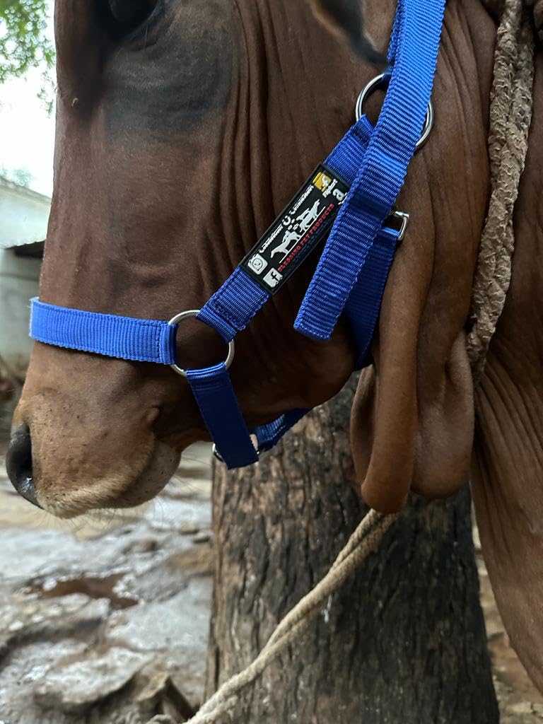 BLESSING PET SUPPLY Cow Horse Nylon Hulter CowBuffaloBull Nylon Mohri Mohra - Image 4
