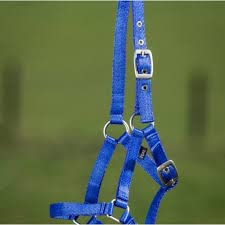BLESSING PET SUPPLY Cow Horse Nylon Hulter CowBuffaloBull Nylon Mohri Mohra - Image 3