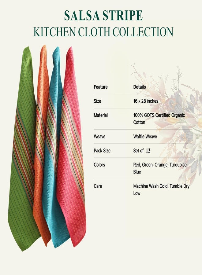 DG Collections Salsa Stripe Kitchen Dish Towels, 100% Cotton, Highly Absorbent, Multi Purpose Waffle Tea Towels for Cooking, Drying & Cleaning, 16x28 Inches, Pack of 12 - Image 4