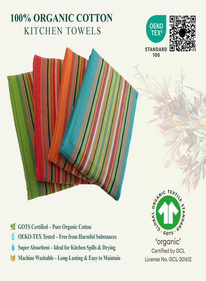 DG Collections Salsa Stripe Kitchen Dish Towels, 100% Cotton, Highly Absorbent, Multi Purpose Waffle Tea Towels for Cooking, Drying & Cleaning, 16x28 Inches, Pack of 12 - Image 2