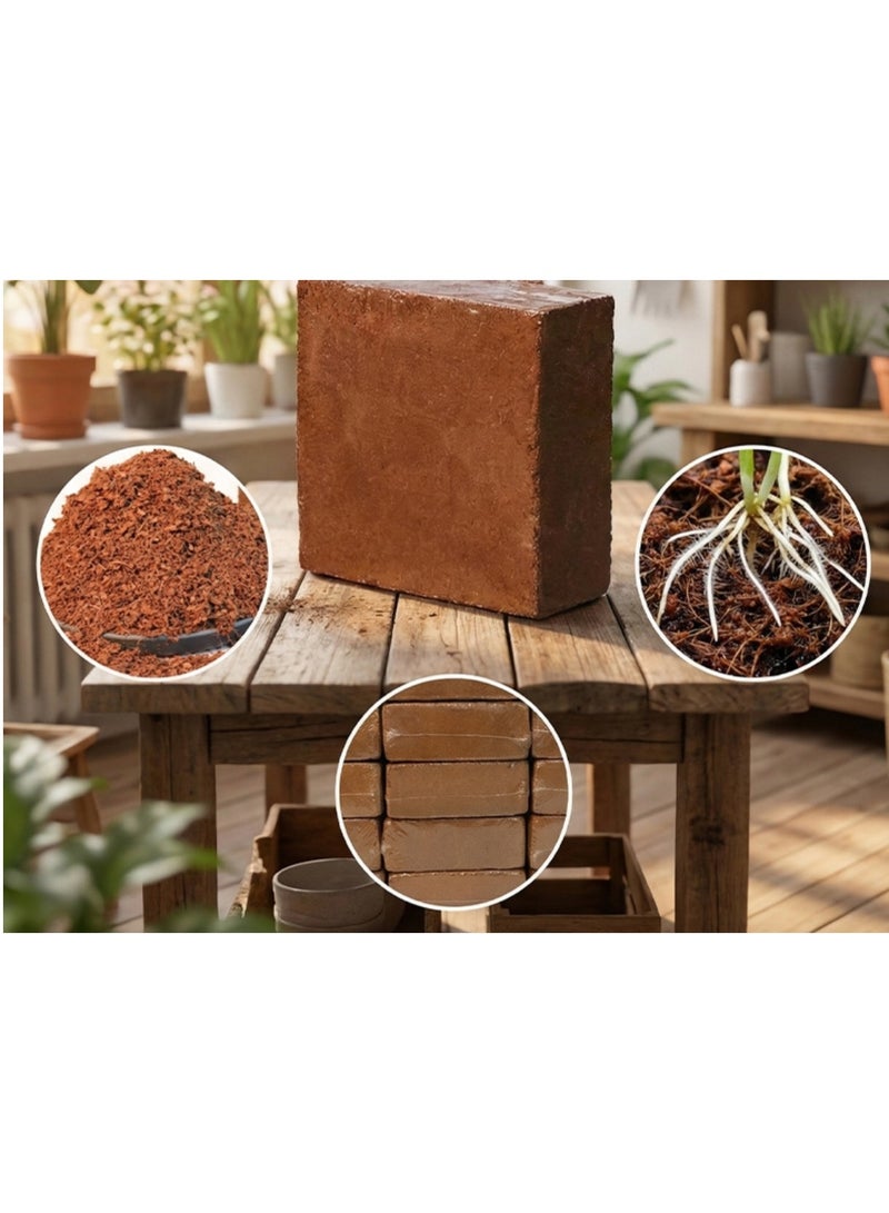 Coco Peat Block 300 GMS (Pack of 1) - Expands to 2.5 kg Soil Potting Mixture for Terrace & Kitchen Gardening - Image 1
