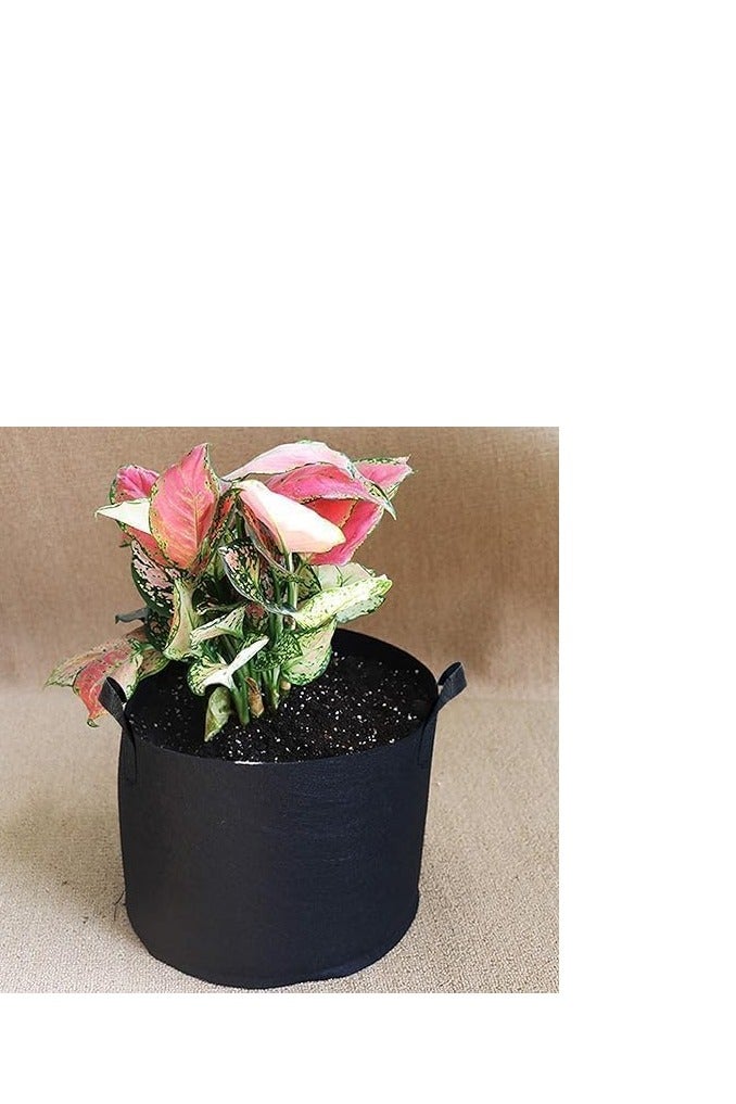 3 Gallon Fabric Plant Grow Bags (10 Pack) - Reusable Garden Aeration Pots, Perfect for Vegetables and Flowers. - Image 2