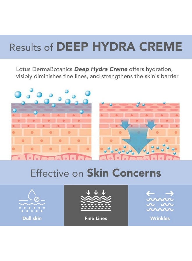 Lotus Dermabotanics Peptide + Papaya Extract Deep Hydra Cream | Boosts Collagen, Protects From Pre-Mature Ageing | Made With Dermatologists | Non-Irritating | Ph 5.5 | Normal To Combination Skin | 50G - Image 3