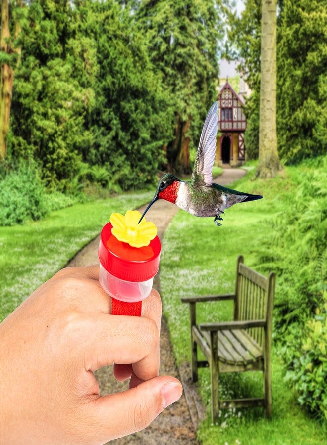 ZHBDMGK Handheld Hummingbird Ring Feeders, 4Pcs Mini Hummingbird Hand Feeder with 4Pcs Cleaning Brush, Window Humming Wild Bird Feeders Tools for Outdoors Supplies - Image 5