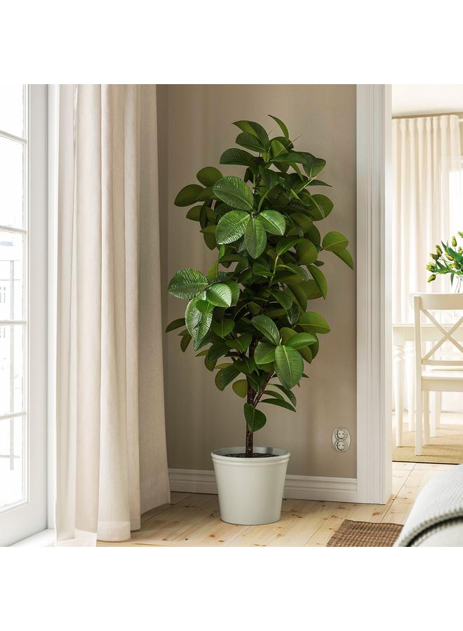 زبون وعاء نباتات، رمادي فاتح-بيج، 24 سم - Image 3