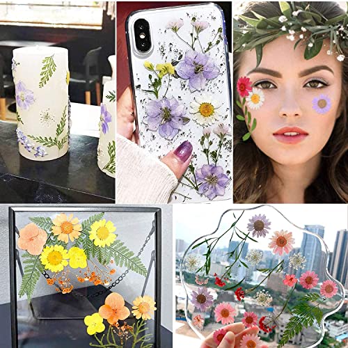 iKalaa® Dried Flowers for Resin Natural Dried Pressed Flowers for DIY Jewellery Molds Art Crafts Scrapbooking Candle Making Nails Décor - Image 4