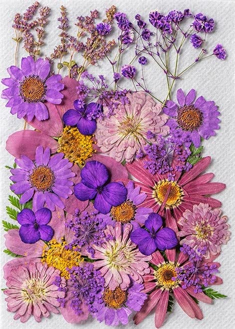 iKalaa® Dried Flowers for Resin Natural Dried Pressed Flowers for DIY Jewellery Molds Art Crafts Scrapbooking Candle Making Nails Décor - Image 1