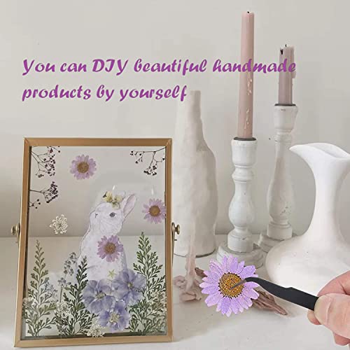 iKalaa® Dried Flowers for Resin Natural Dried Pressed Flowers for DIY Jewellery Molds Art Crafts Scrapbooking Candle Making Nails Décor - Image 5