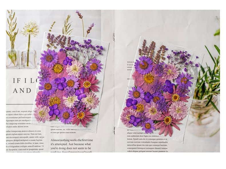 iKalaa® Dried Flowers for Resin Natural Dried Pressed Flowers for DIY Jewellery Molds Art Crafts Scrapbooking Candle Making Nails Décor - Image 2