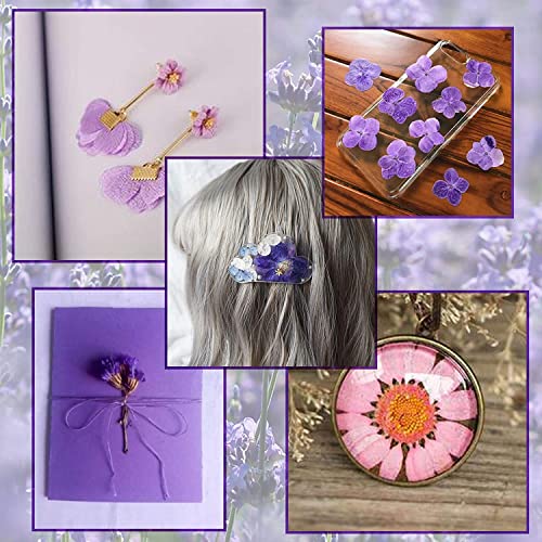 iKalaa® Dried Flowers for Resin Natural Dried Pressed Flowers for DIY Jewellery Molds Art Crafts Scrapbooking Candle Making Nails Décor - Image 3