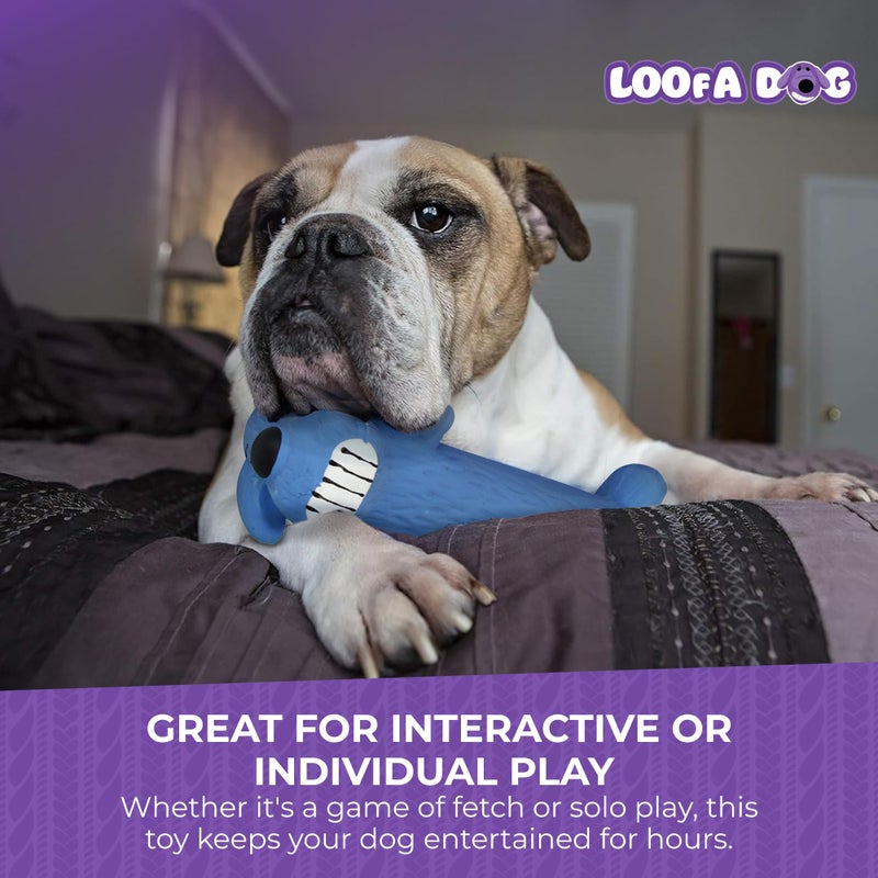 Multipet Original Loofa Latex Dog Toy - Squeaky Toy for All Dogs - Easy-to-Clean Squeaky Toys - Latex Dog Toys for Playing (1 Count, 6â€, Random Color Surprise) - Image 5