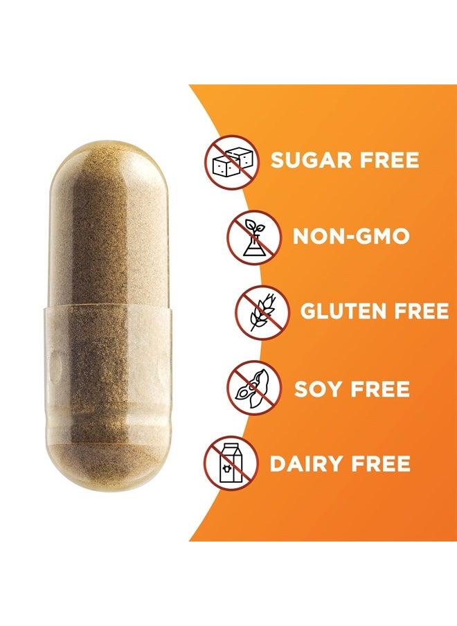 Nature's Nutrition - Pure Cinnamon Capsules, Certified Organic Ceylon Cinnamon Pills, Non-GMO, Gluten-Free, Dairy-Free, Sri Lanka Cinnamon Powder Supplement, Best Vegan True Cinnamomum Vitamins, Sugar Free - 240 Capsules - Image 1