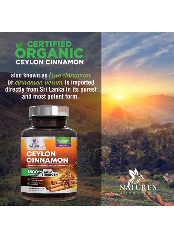 Nature's Nutrition - Pure Cinnamon Capsules, Certified Organic Ceylon Cinnamon Pills, Non-GMO, Gluten-Free, Dairy-Free, Sri Lanka Cinnamon Powder Supplement, Best Vegan True Cinnamomum Vitamins, Sugar Free - 240 Capsules - Image 1