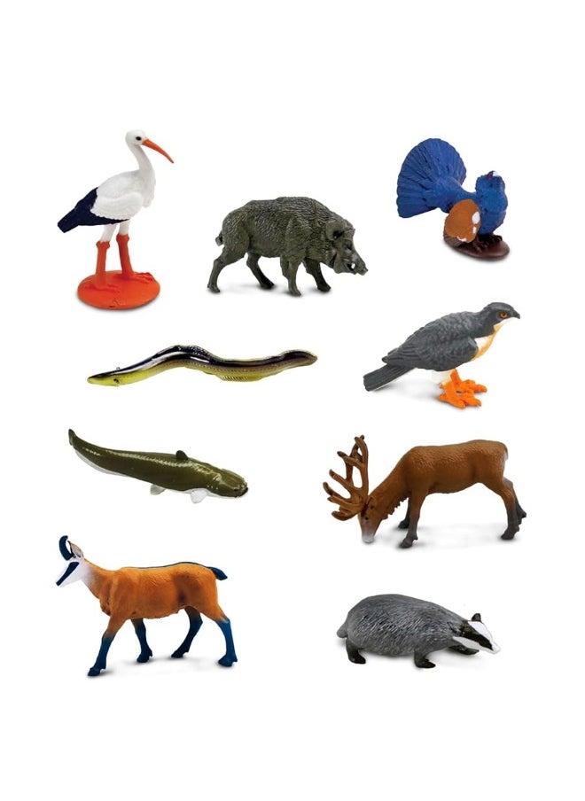 Safari Ltd Safari Ltd. European Animals TOOB - 9 Detailed Miniature Animal Figurines - Educational Toy Set for Boys, Girls, and Kids Ages 3+  - Image 3