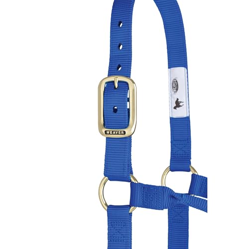 Weaver Equine Weaver Leather Original NonAdjustable Nylon Horse Halter - Image 3