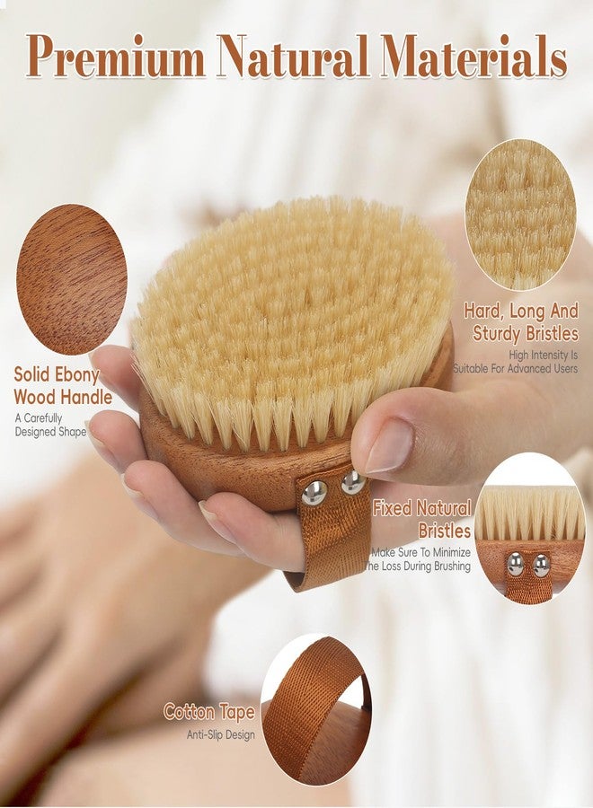 DEBETOOL Dry Brushing Body Brush - Natural Boar Bristle Dry Body Brush for Lymphatic Drainage, Cellulite, Blood（Medium Hardness） - Image 4