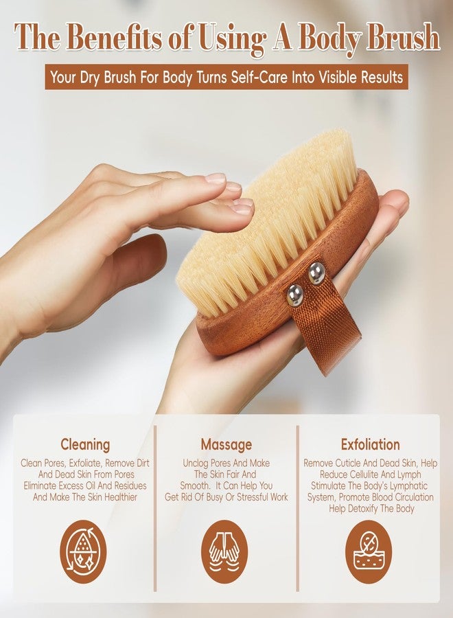 DEBETOOL Dry Brushing Body Brush - Natural Boar Bristle Dry Body Brush for Lymphatic Drainage, Cellulite, Blood（Medium Hardness） - Image 3